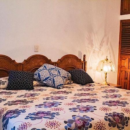Villa Flores, Casa En El Centro De Mascota Ngoại thất bức ảnh