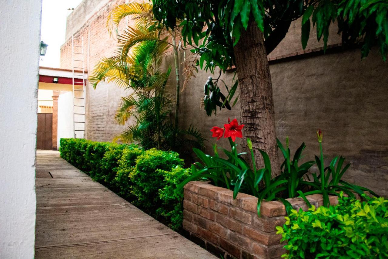 Villa Flores, Casa En El Centro De Mascota Ngoại thất bức ảnh