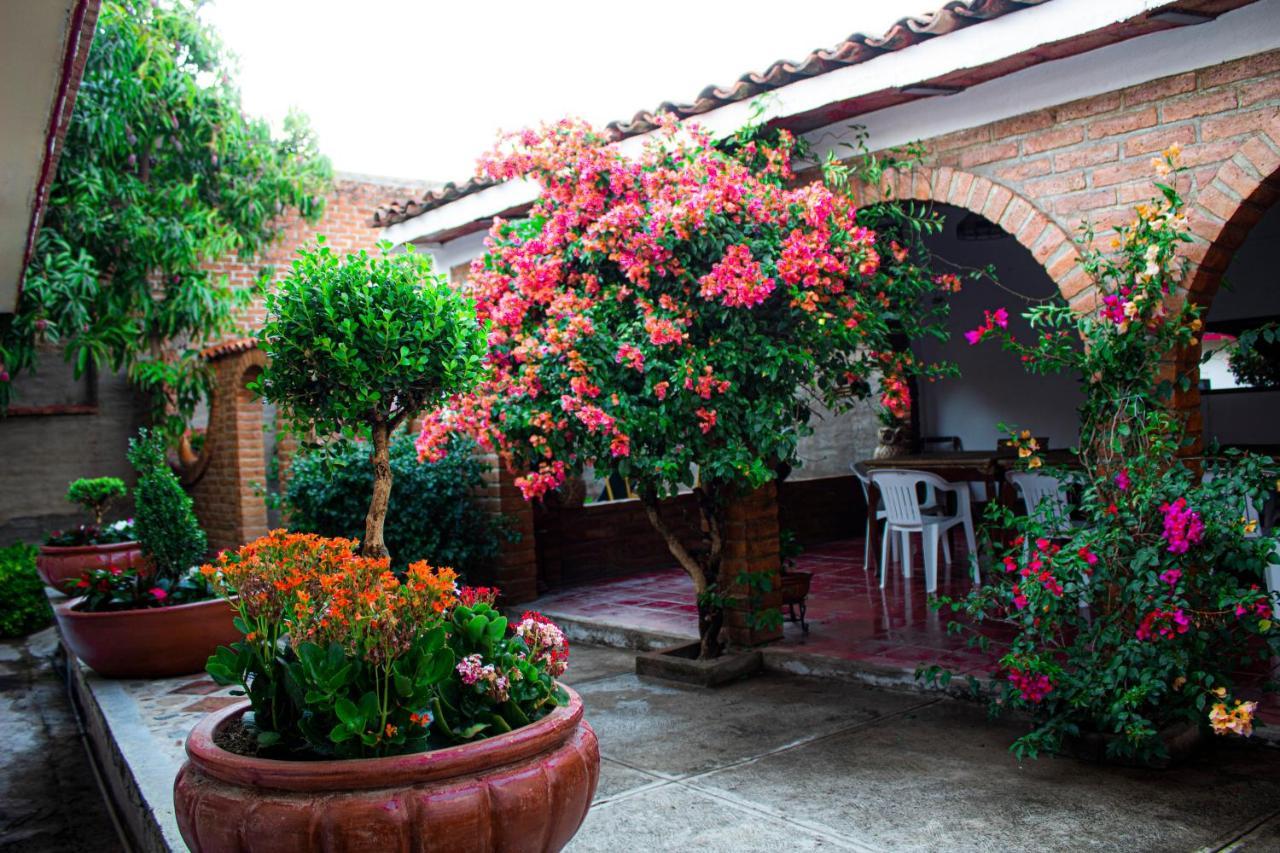 Villa Flores, Casa En El Centro De Mascota Ngoại thất bức ảnh