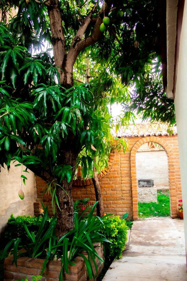 Villa Flores, Casa En El Centro De Mascota Ngoại thất bức ảnh